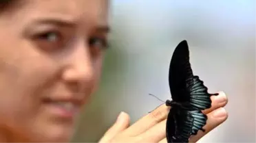 Antalya'da Kelebek Park Açıldı