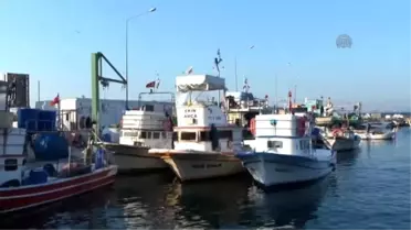 Yalova'da Balıkçılar 'Vira Bismillah' Dedi