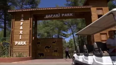 Hayvanat Bahçesinde 300 Doğum Sevinci Yaşandı