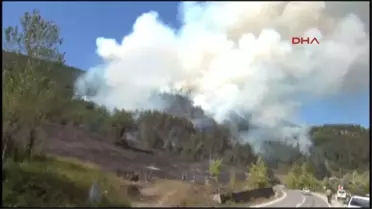Bartın'da Orman Yangını