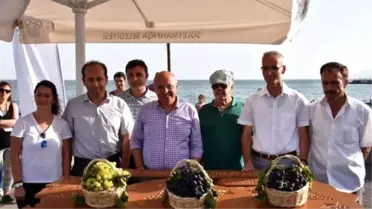 Tekirdağ'ın En Güzel Üzümleri Seçildi