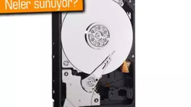 Western Digital Blue 1 Tb Wd10ezex Sabit Sürücü