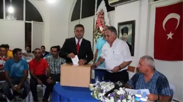 Tffhgd Mersin Şubesi'nde Göre Değişimi
