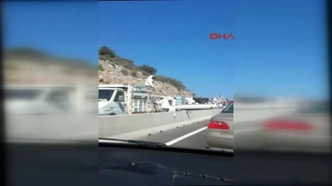 Muğla Freni Patlayan Kovan Yüklü Kamyon Devrilince Sürücüler Arı Kabusu Yaşadı