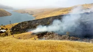 Elazığ'da Arazi Yangını Badem Ağaçlarına da Zarar Verdi