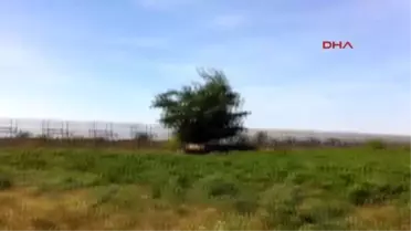 Edirne - Bulgaristan ve Yunanistan'da ?mülteci? Tedbirleri