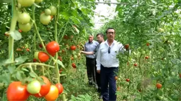 İnegöl'ün Geleceği Meyvecilik