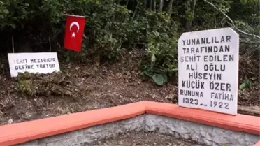 Definecilerin Talan Ettiği Şehit Mezarına Uyarı Yazısı