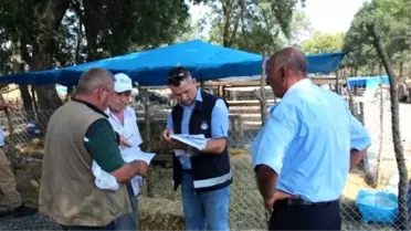 Kurban Pazarına Zabıta ve Veteriner Denetimi