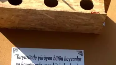 Hayvan Sevgisi İçin 11 Okula Ayetli, Hadisli Kedi Evi ve Kuş Barınağı