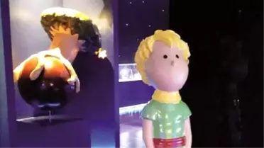 Little Prince' Books İn Istanbul