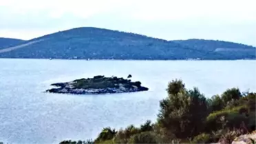 Demirel'in Adası Tekrar Satışta