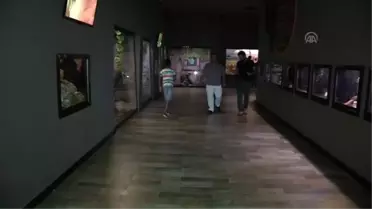 Doğanın Gizemli Canlılarına Turist İlgisi