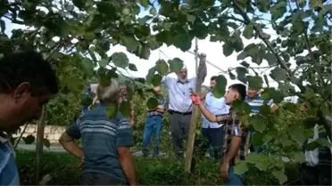 Ziraat Odası Üreticileri Bilgilendirmeye Devam Ediyor