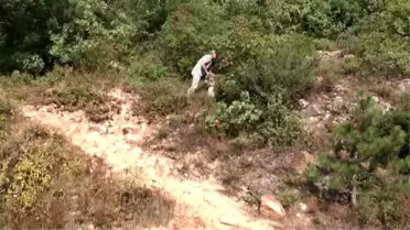 Çevre Gönüllüsü' Mali Müşavir, Ormanlık Alanlarda Çöpleri Temizliyor