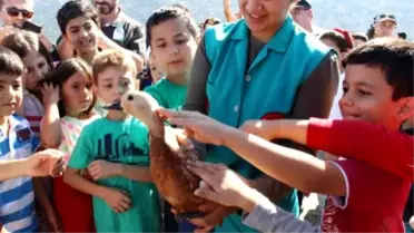 Tedavisi Tamamlanan Hayvanlar Kuş Gözlem Günü'nde Doğaya Salındı