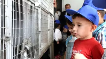 Denizli'de Dünya Hayvanları Koruma Günü Kutlandı