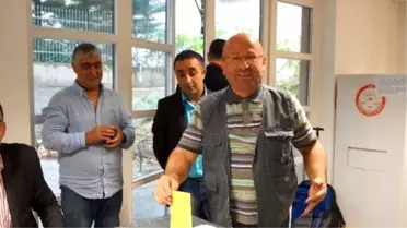 Avusturya'da Oy Verme İşlemleri Başladı