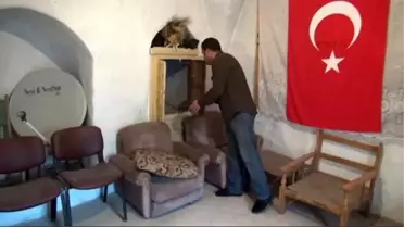 Mardin Nobel Ödülü Kazanan Sancar'ın Memleketi Savur'da Kutlama