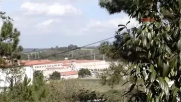 Üzüm Suyunu Şarap Yapıp İçen Mahkumlar Hastanelik Oldu