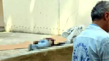 8'inci Kattan Atlayan Genç Öldü