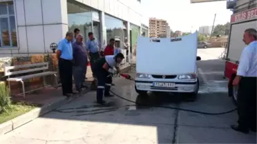 Kilis'te Otomobilin Motor Kısmına Kedi Girdi