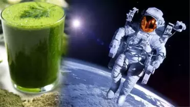 Astronotlar İçin Türkiye'de Yosunlu Yoğurt ve Peynir Üretilecek
