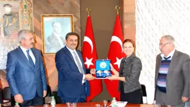 ŞUTSO, Avrupa'dan Umutlu Döndü