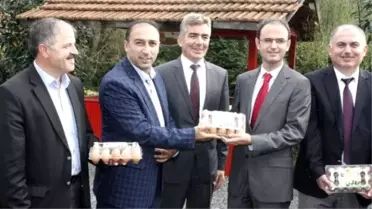 Yumurta Üreticilerine Kredi Desteği