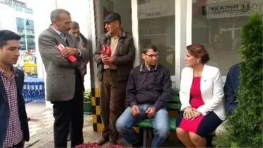 Fatma Kaplan Hürriyet Seçim Çalışmalarına Darıca'da Devam Etti