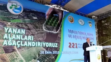Orman Bakanlığı'ndan Bursa'ya 210 Milyonluk Yatırım