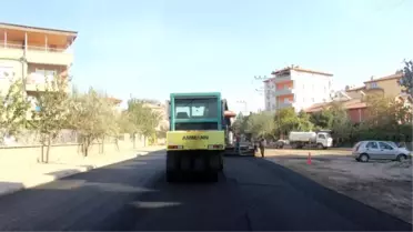 Reşadiye Mahallesinde Asfalt Çalışması