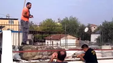 Arkeolog Tarihi Eserin Üzerinde Zıpladı