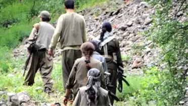 PKK'nın Bingöl Bölge Sorumlusu Yakalandı