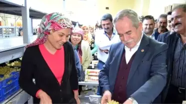 Ak Partili Berber, Üzüm İşçileriyle Görüştü