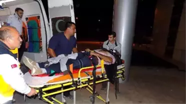 Yoldan Çıkan Araç Devrildi: 2'si Çocuk, 6 Yaralı