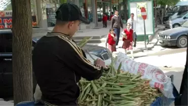 Içkın' Kanser Hücrelerini Öldürüyor