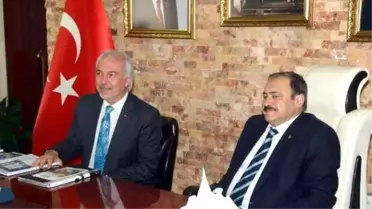 Kent Ormanı ve Çamlıca'yı Belediye İşletecek
