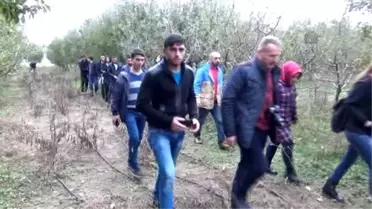 OMÜ Tarım Bölümü Öğrencileri Çiftlikte Ders Gördü