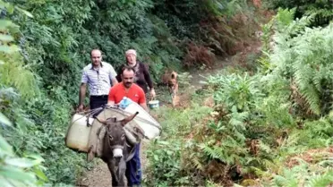 Kastamonu'da Evlerine Eşeklerle Su Taşıyorlar