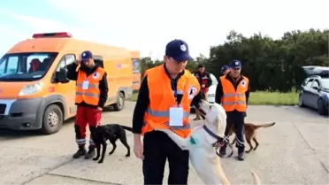 Afad'ın Açtığı Sınavı Geçen Köpekler, Sertifika Alacak