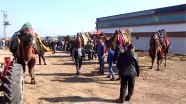 Ezine'de 'Havut Giydirme' Hayrı