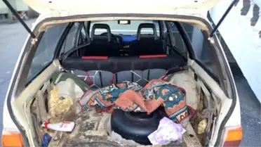 Erzurum'da Hayvan Hırsızı Yakalandı