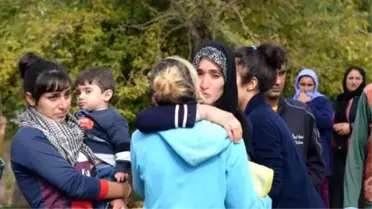 Yuvaları Kurtarılan Ezidiler, Şengal Yerine Avrupa'ya Gidiyor