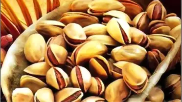 Kırmızı Mantolu Hanıma' Özel Gübre