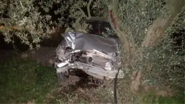 Otomobil Zeytinliğe Uçtu: 3 Yaralı