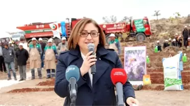 Arılar İçin Bal Ormanı