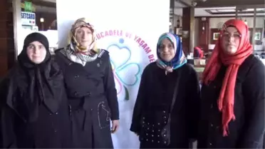 Kutsal Topraklarda Manevi Şifa'