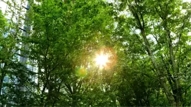 Schneider Electric, İklim Değişikliği Stratejilerinde 'dünya Lideri'