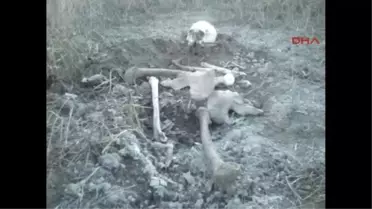 Akşehir Göl Kıyısında Kemikleri Bulunan Kişinin Kimliği Robot Resimle Belirlenecek